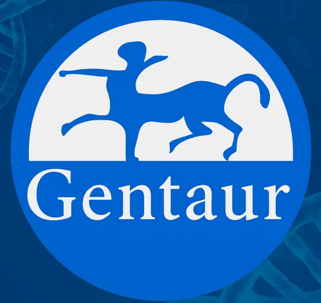 Acid Washed Glass Beads