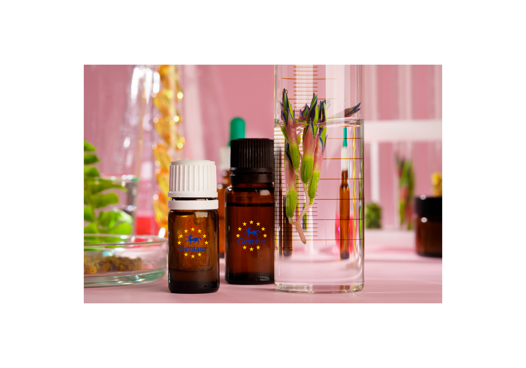 Activin B Human Plant