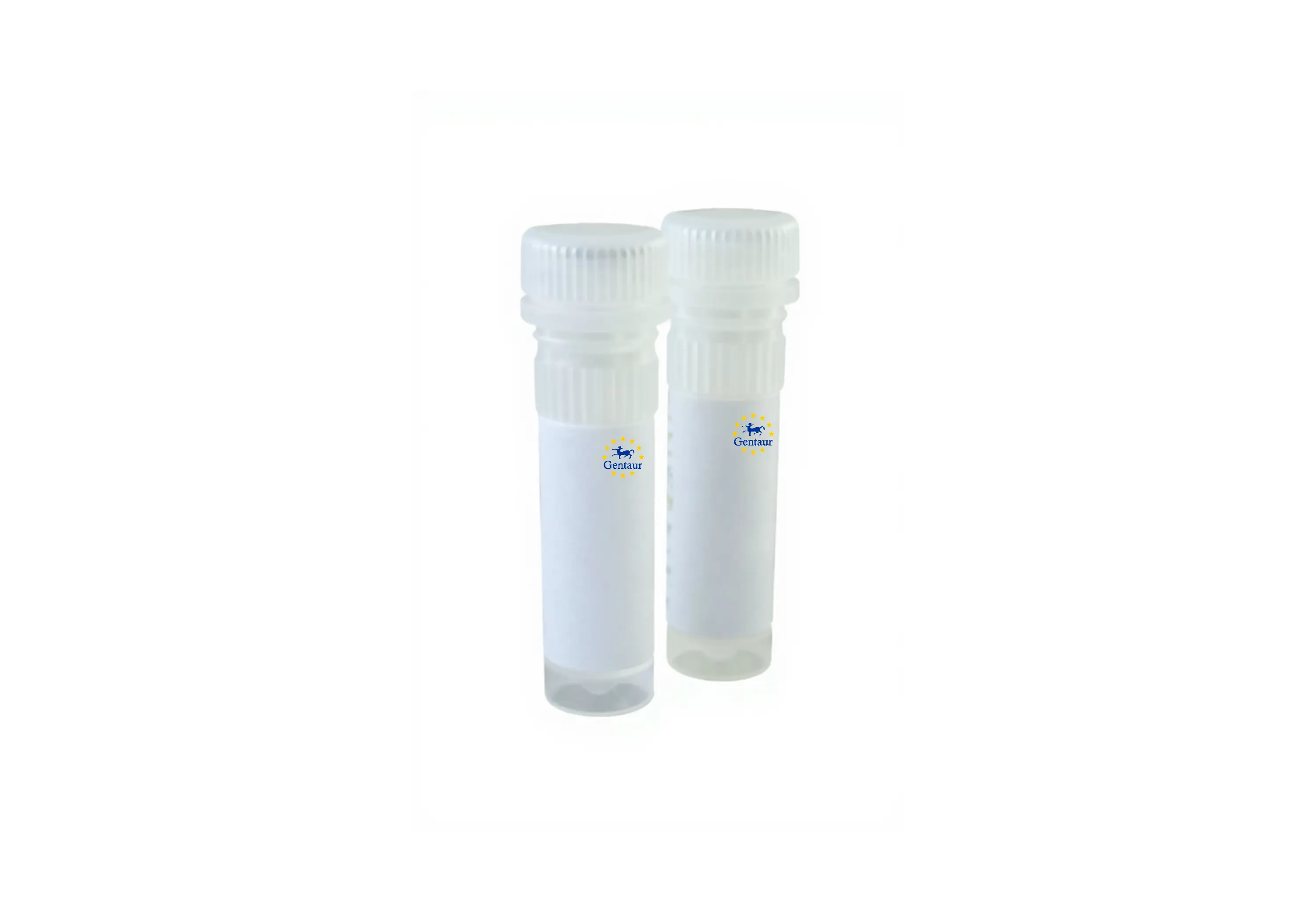  high fidelity dna taq polymerase 1000u 2u l